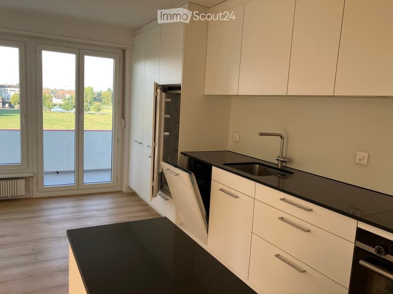 Modern kitchen with white cabinets, black countertops, stainless steel sink and faucet, and built-in appliances including an oven, dishwasher, and refrigerator. Large windows and sliding doors provide natural light and access to the outdoor area.