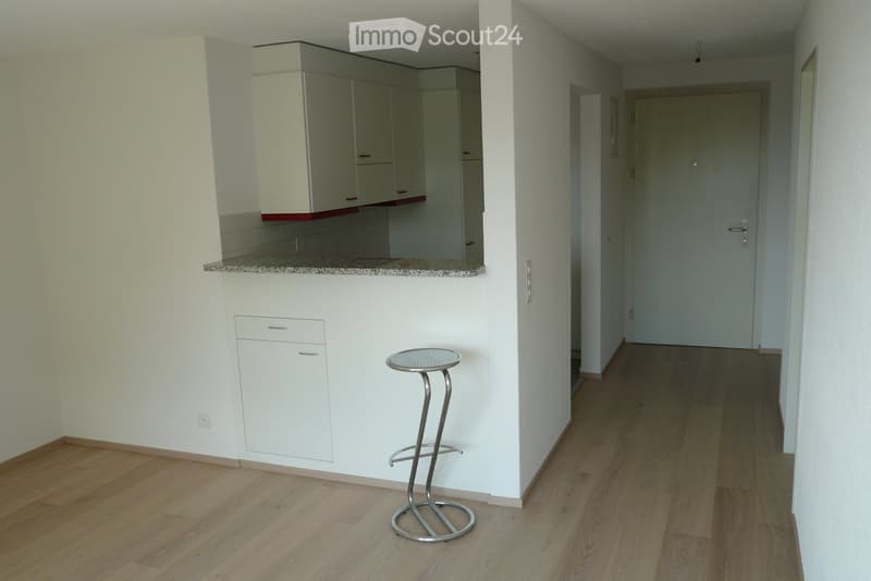 A small, modern kitchen area with white cabinets, a granite countertop, and a single bar stool. The adjacent hallway has wooden flooring and a closed door.