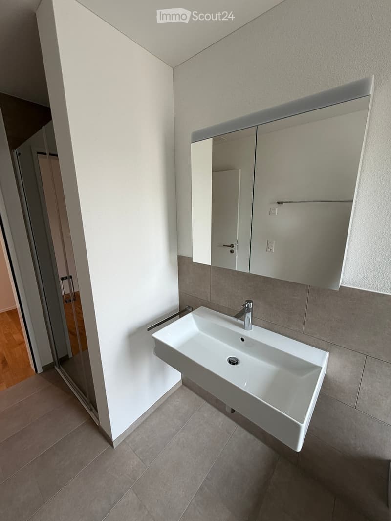 Modern bathroom with a white sink, chrome faucet, mirrored cabinet, and grey tiled walls.