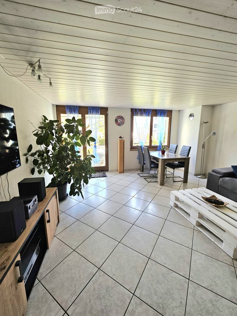 Open-plan living and dining area with tiled flooring, a grey sofa, a wooden dining table with chairs, a large potted plant, a TV on a wooden stand, and a clock on the wall.