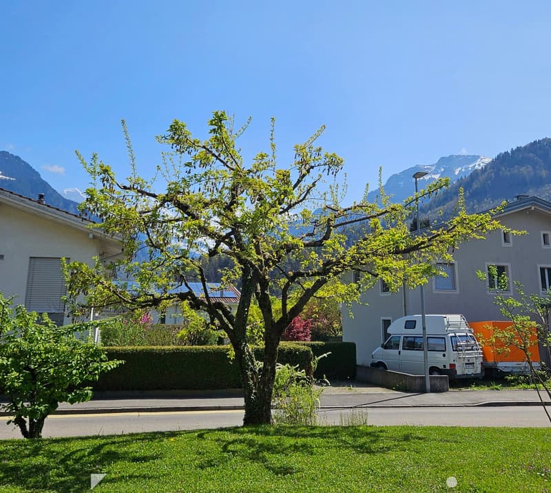 A well-maintained garden area with a large tree, neatly trimmed hedges, and a view of snow-capped mountains in the background. A white van is parked near the house.