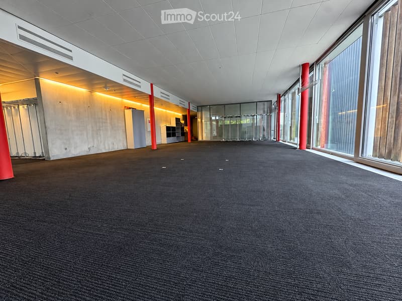 Empty room with dark carpeted floor, white ceiling, large windows, and red structural columns.