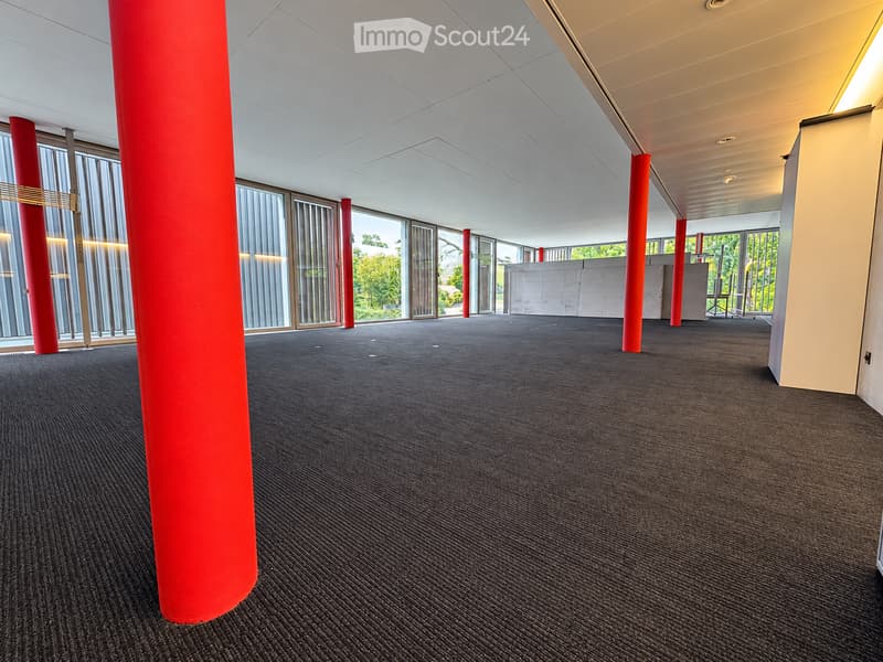 Empty room with carpeted floor, large windows, red pillars, and a reception area in the background.