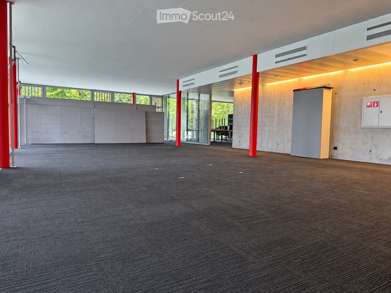 Empty room with grey carpeted floor, white walls, red structural columns, and large windows with a view of greenery. There is a small office area visible through a glass partition.