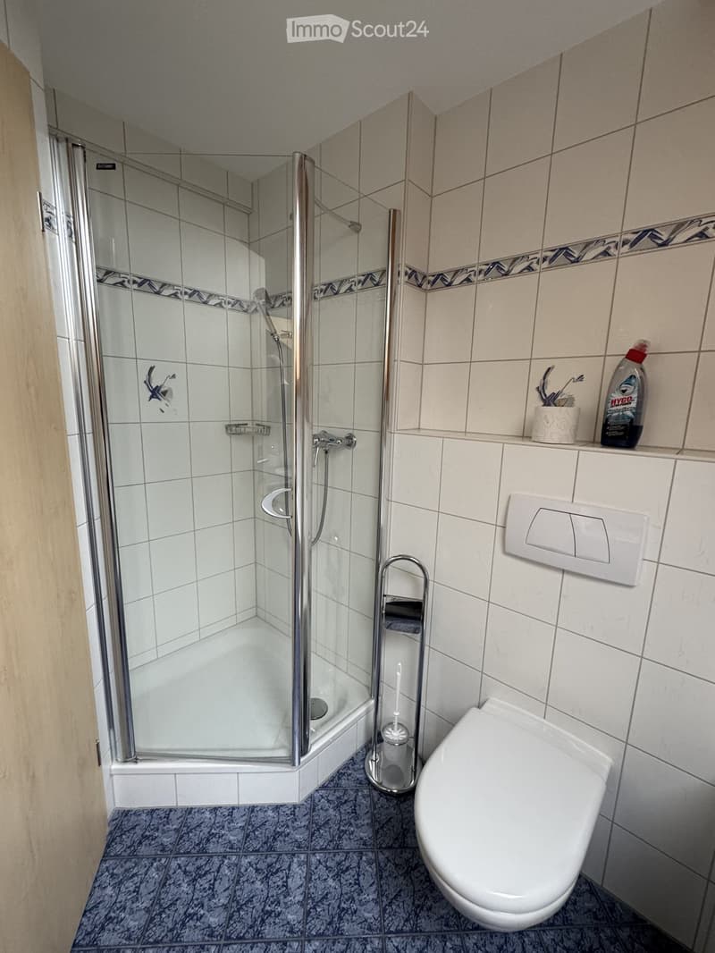 Modern bathroom with white tiled walls, a glass-enclosed shower, a toilet, and a toilet brush holder. Cleaning supplies are placed on a small shelf.