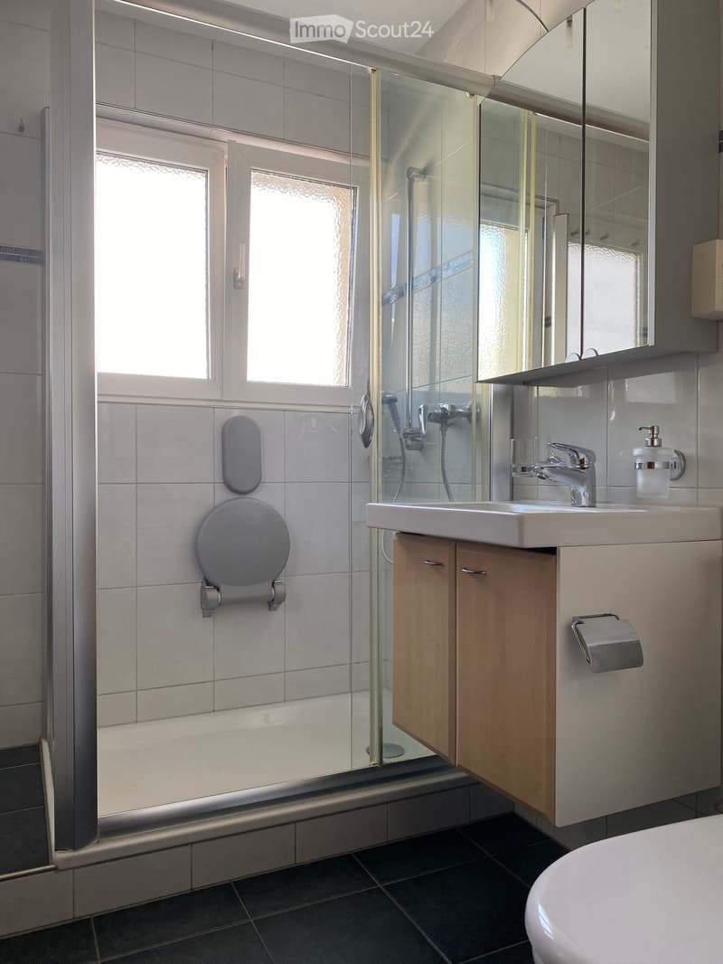 Modern bathroom with white tiles, a glass-enclosed shower, a white sink with a mirror, and a toilet paper holder.