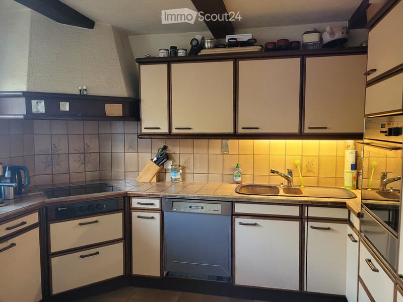 The kitchen features light-colored cabinets, a stainless steel dishwasher, a sink with a faucet, and various kitchen items on the countertops.
