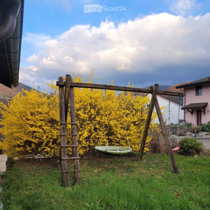 A grassy outdoor area with a wooden swing set, including a round nest swing and a round seat swing, surrounded by yellow flowering bushes and a pink house in the background.