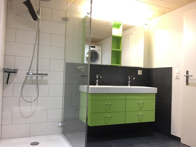 Modern bathroom with a white sink, green cabinets, a glass-enclosed shower, and a washing machine in the background.