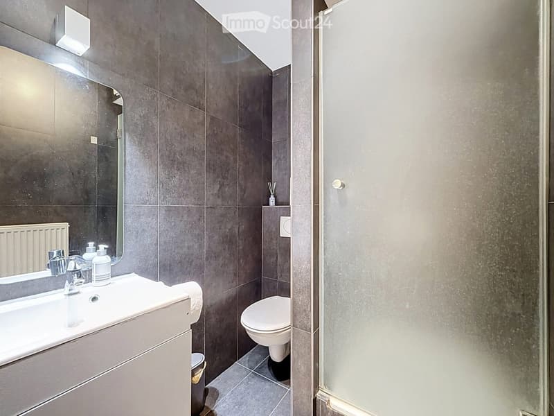 Modern bathroom with dark grey tiles, white sink, mirror, toilet, and radiator. Includes soap dispenser and toilet paper holder.