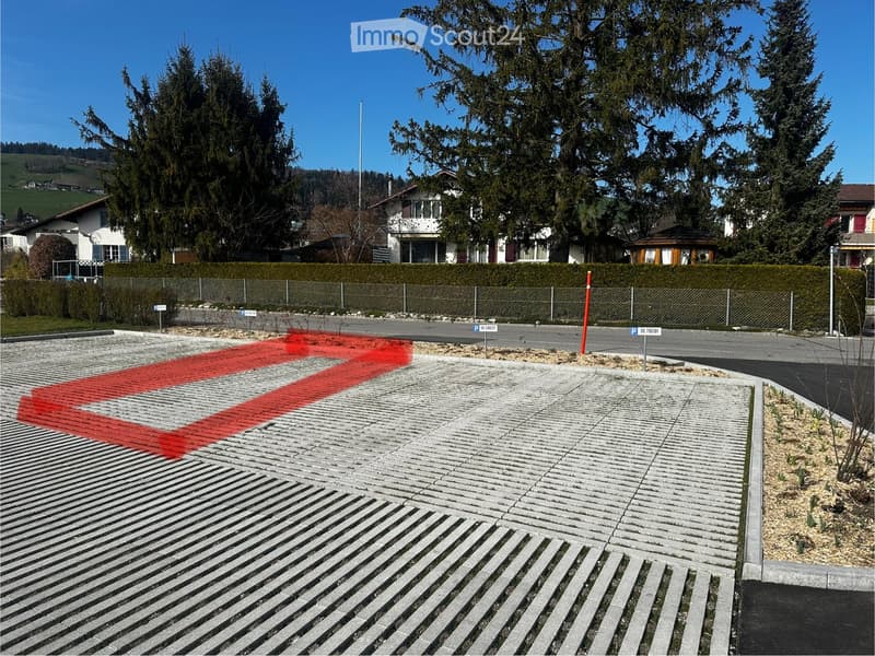 large concrete parking area with several parking spaces outlined, fenced with shrubs, street view