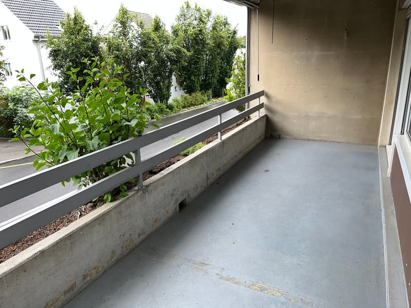 Balcony with a concrete floor, white railing, and small plants growing along the edge. The background shows a neighboring building and greenery.