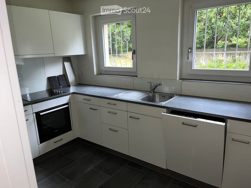 Modern kitchen with white cabinets, stainless steel sink, oven, and countertop. Features two windows with decorative grilles overlooking a green area.