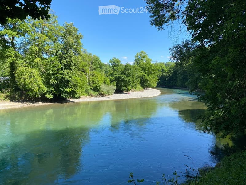 A serene river scene with clear, reflective water, surrounded by lush green trees and a sandy riverbank.
