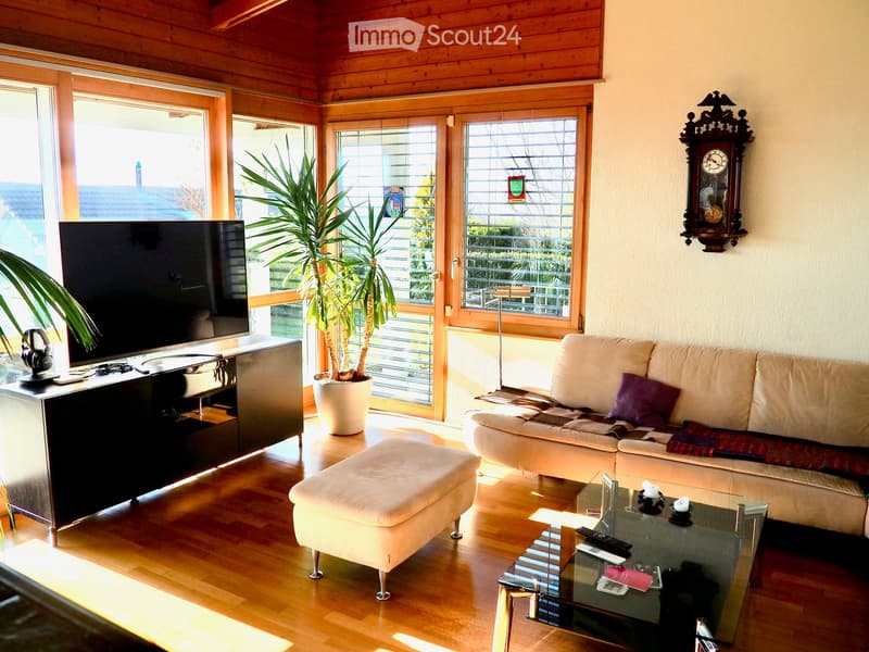 Bright living room with wooden ceiling, large windows, sofa, ottoman, coffee table, TV, and decorative plant.