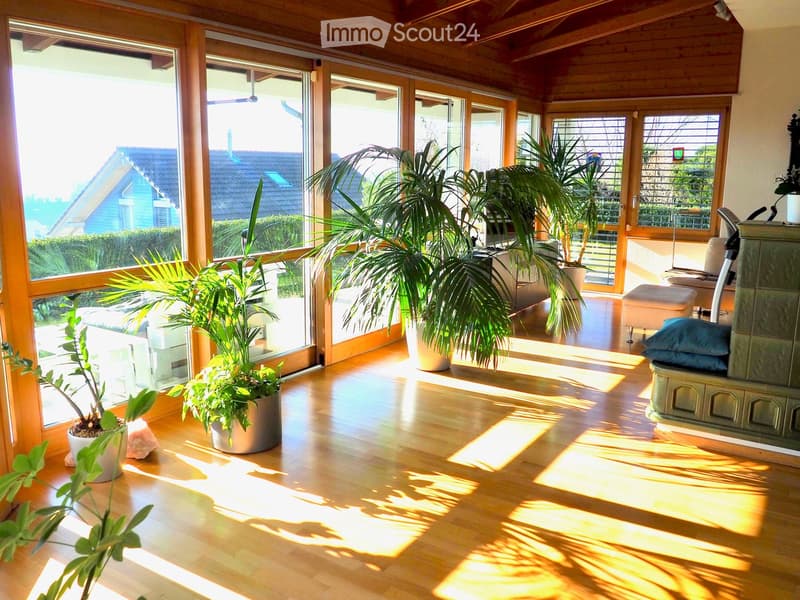 Bright, sunlit room with wooden flooring, large windows, and several potted plants. Features a sofa, ottoman, and fireplace.