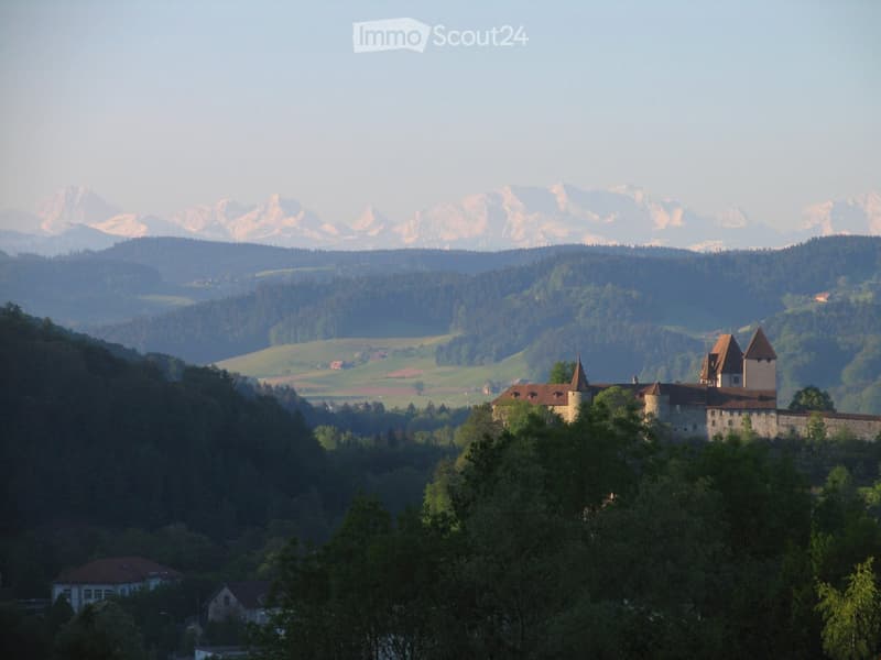 A historic castle with stone walls and towers, surrounded by lush green trees and rolling hills, with snow-capped mountains in the background.