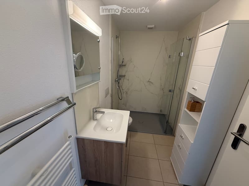 Modern bathroom with a white sink, chrome faucet, mirrored cabinet, glass-enclosed shower, and built-in storage cabinets.