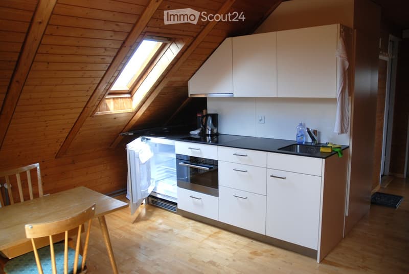 2-Zimmer-Dachwohnung (1)
