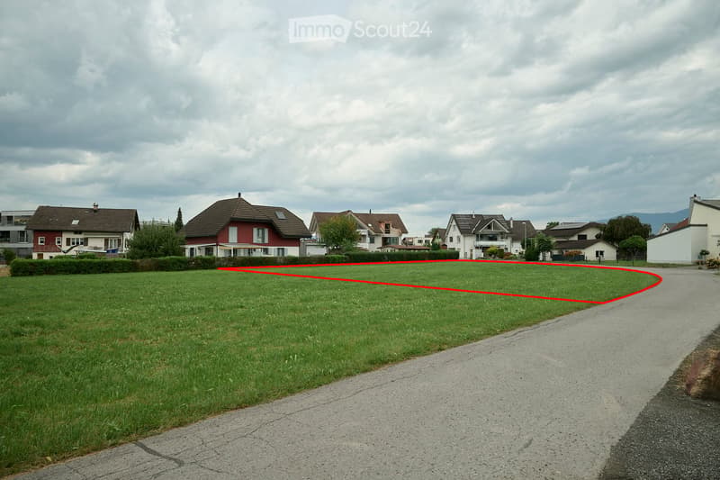 A grassy area with a red outline marking a boundary, surrounded by houses and a paved road.
