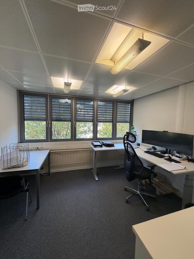 Modern office space with two desks, ergonomic chairs, computer monitors, keyboards, and a filing cabinet. Large windows with blinds provide natural light.