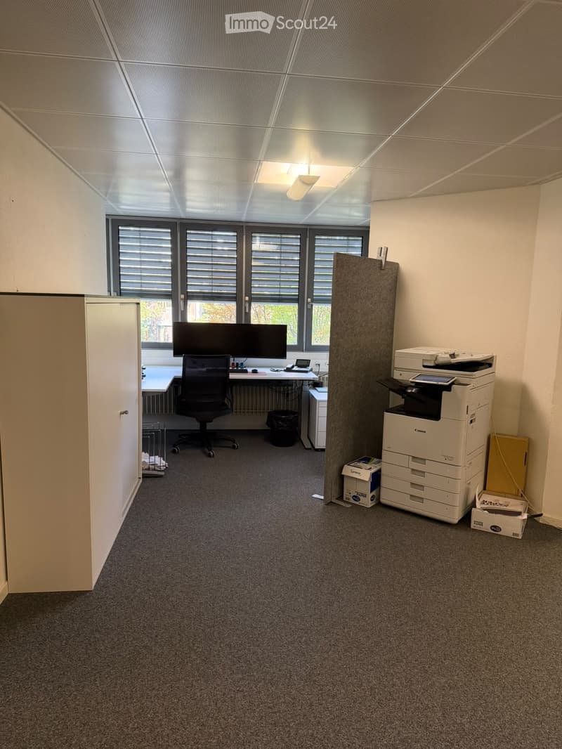 Office space with a desk, chair, screen, printer, and a large window with blinds.