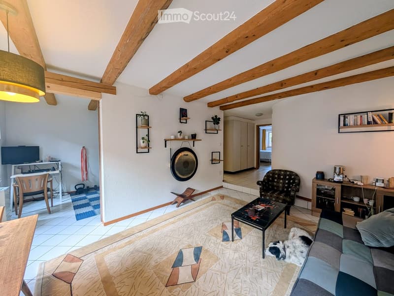 Living room with exposed wooden beams, a sofa, coffee table, armchair, TV, shelves, and a dog resting on the sofa.
