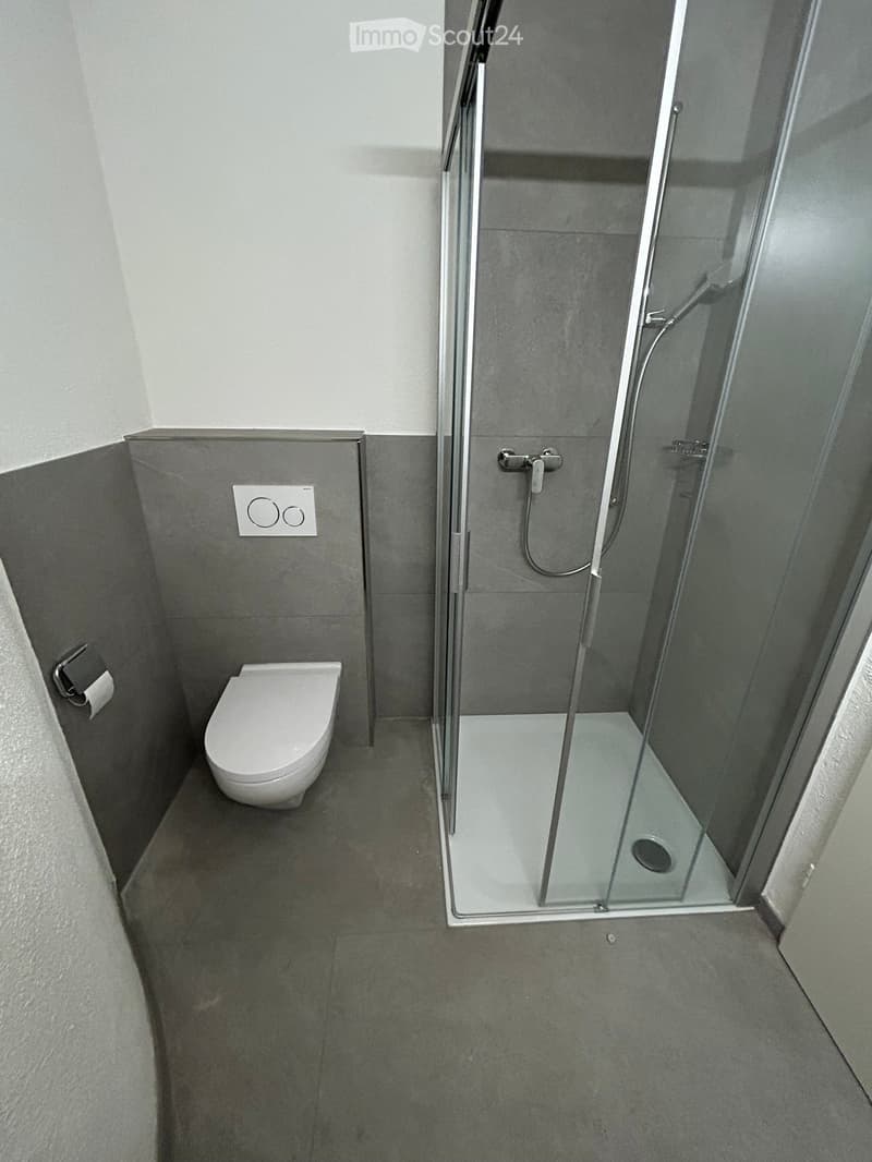 Modern bathroom with a toilet, glass-enclosed shower, and a toilet paper holder on the wall.