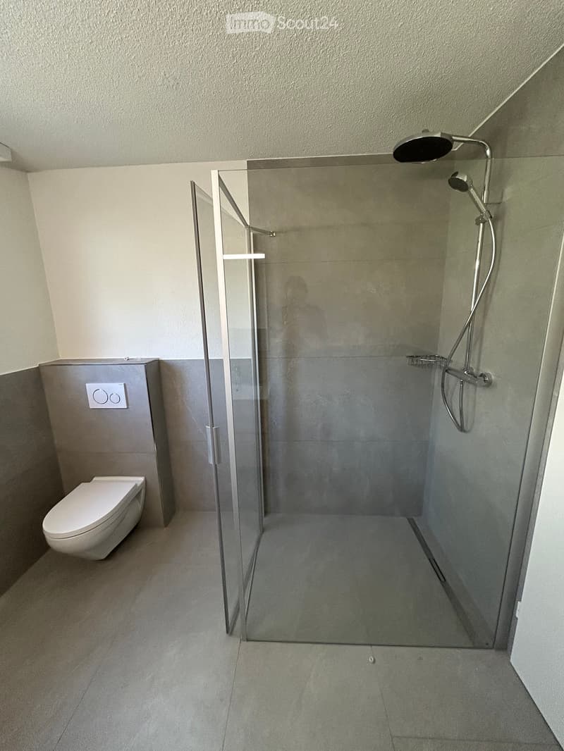 Modern bathroom with a toilet, glass-enclosed shower, and a handheld showerhead.