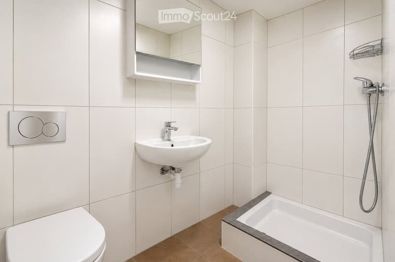 Modern bathroom with white tiles, a toilet, a sink with a modern faucet, a bathtub with a shower hose, and a mirrored cabinet with a shelf.