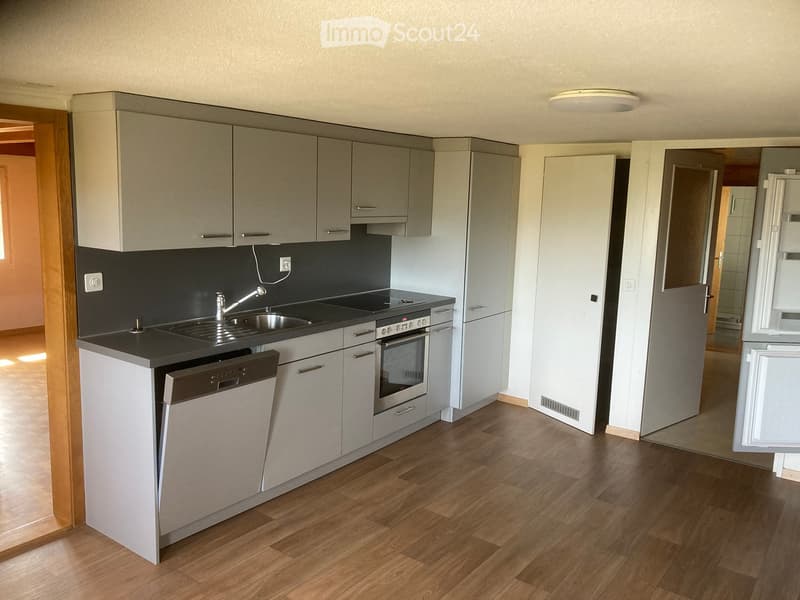 Modern kitchen with light grey cabinets, black countertop, stainless steel sink, oven, dishwasher, and refrigerator. Wooden flooring and recessed lighting.
