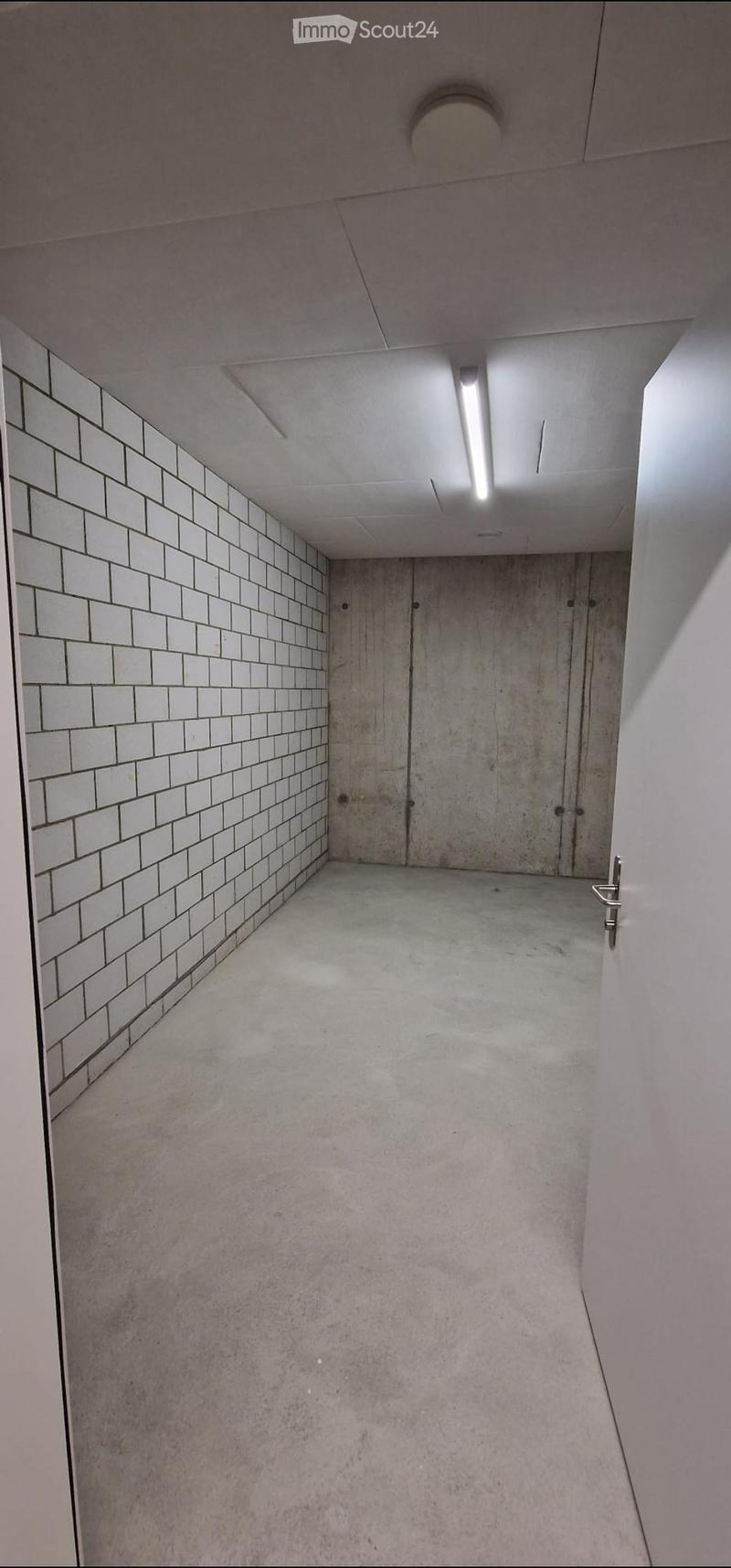 Modern, minimalist hallway with white tiled walls, concrete floor, and recessed lighting. Features a closed door at the end and a metallic handle on the right side.