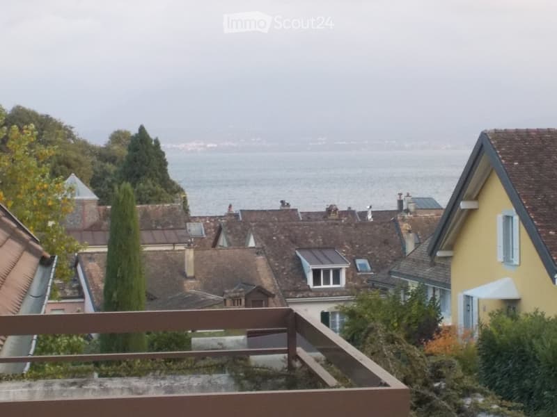 Balcony overlooking a residential area with multiple houses, trees, and a body of water in the background.