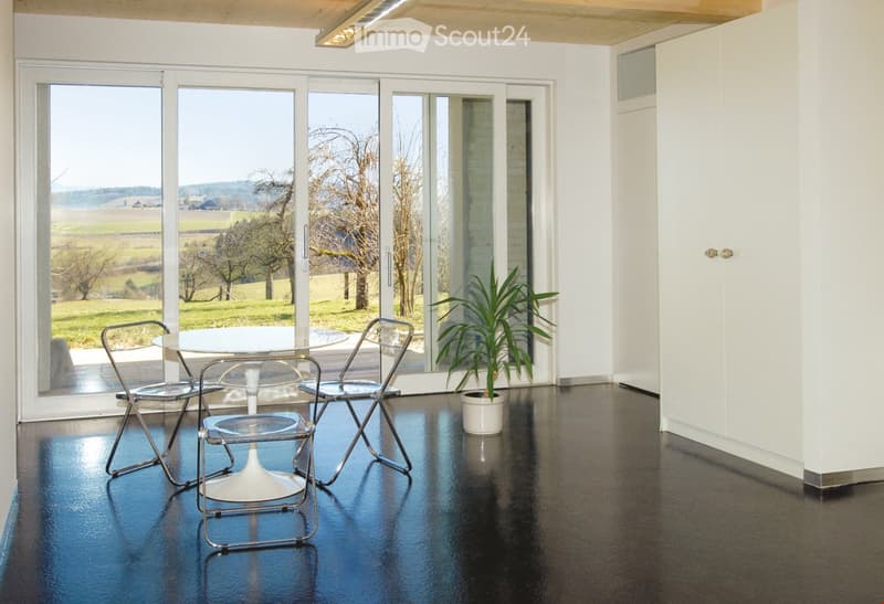 Modern, minimalist room with dark flooring, white walls, large glass doors leading to a scenic outdoor view, a small round table with four chairs, and a potted plant near the door.