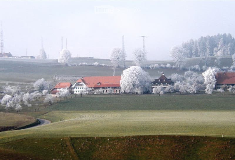A rural scene with a large, traditional house featuring a red-tiled roof and white walls, surrounded by trees and open fields.