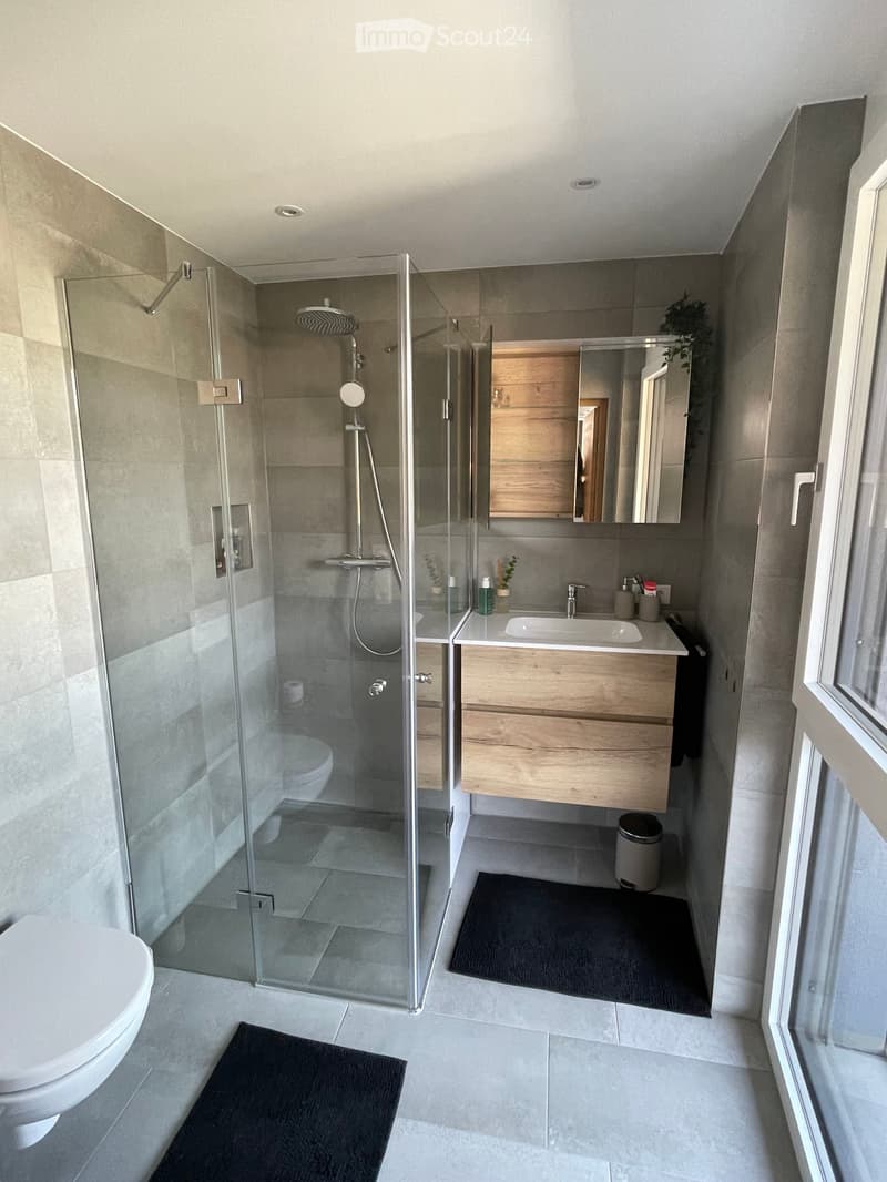 Modern bathroom with a glass-enclosed shower, toilet, sink with wooden cabinet, mirror, and two black rugs on the floor.