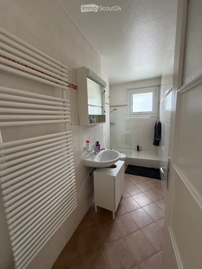 Modern bathroom with a white radiator, a sink with a mirror cabinet, a shower area, and a bathtub. The space is well-lit with natural light from a window.