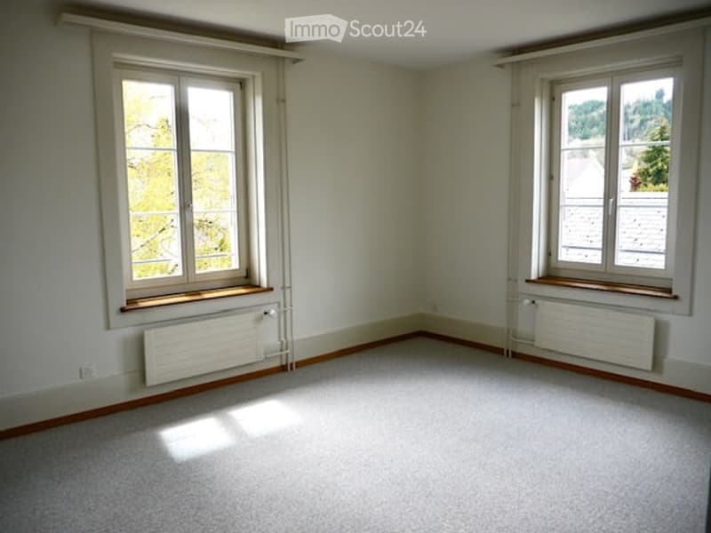 Empty room with light-colored walls, carpeted floor, two windows with radiators below, and wooden baseboards.