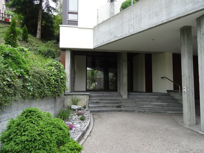 Modern concrete house with raised ground floor, steps leading to entrance, greenery on hillside, and small garden area with shrubs and flowers.
