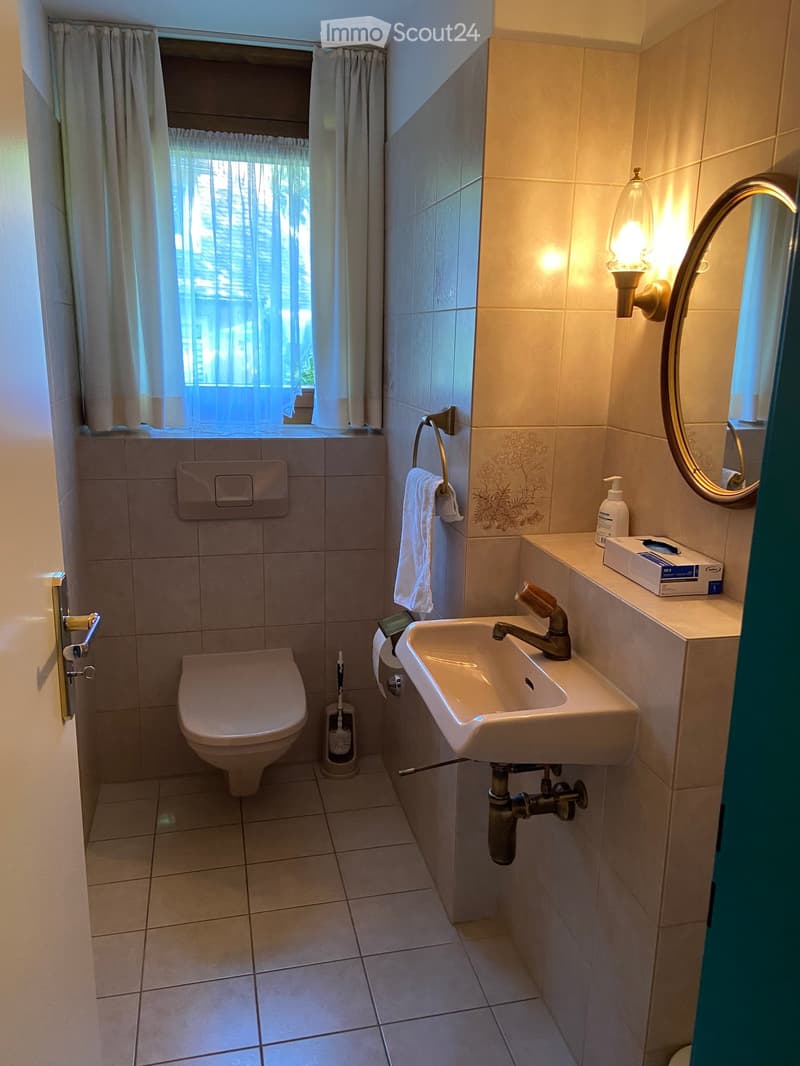 A small, clean bathroom with a toilet, sink, mirror, and a window with curtains. The sink has a modern faucet, and a towel is hanging on a rack. A soap dispenser and a box of tissues are on the sink counter.