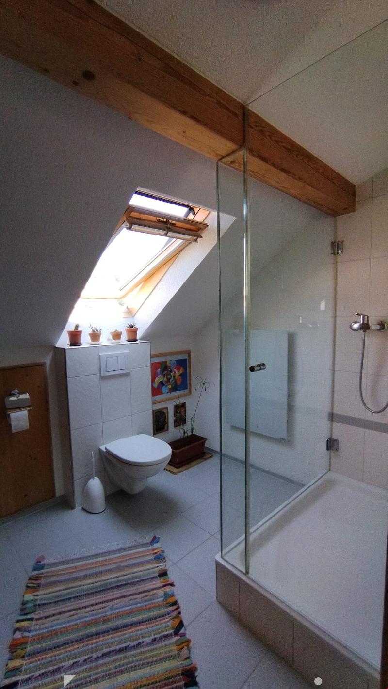 Cozy attic bathroom with skylight, toilet, shower, and small potted plants on a shelf.