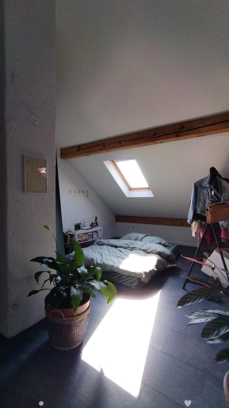 Cozy attic bedroom with exposed wooden beams, skylight window, bed, nightstand, bookshelf, and potted plants.