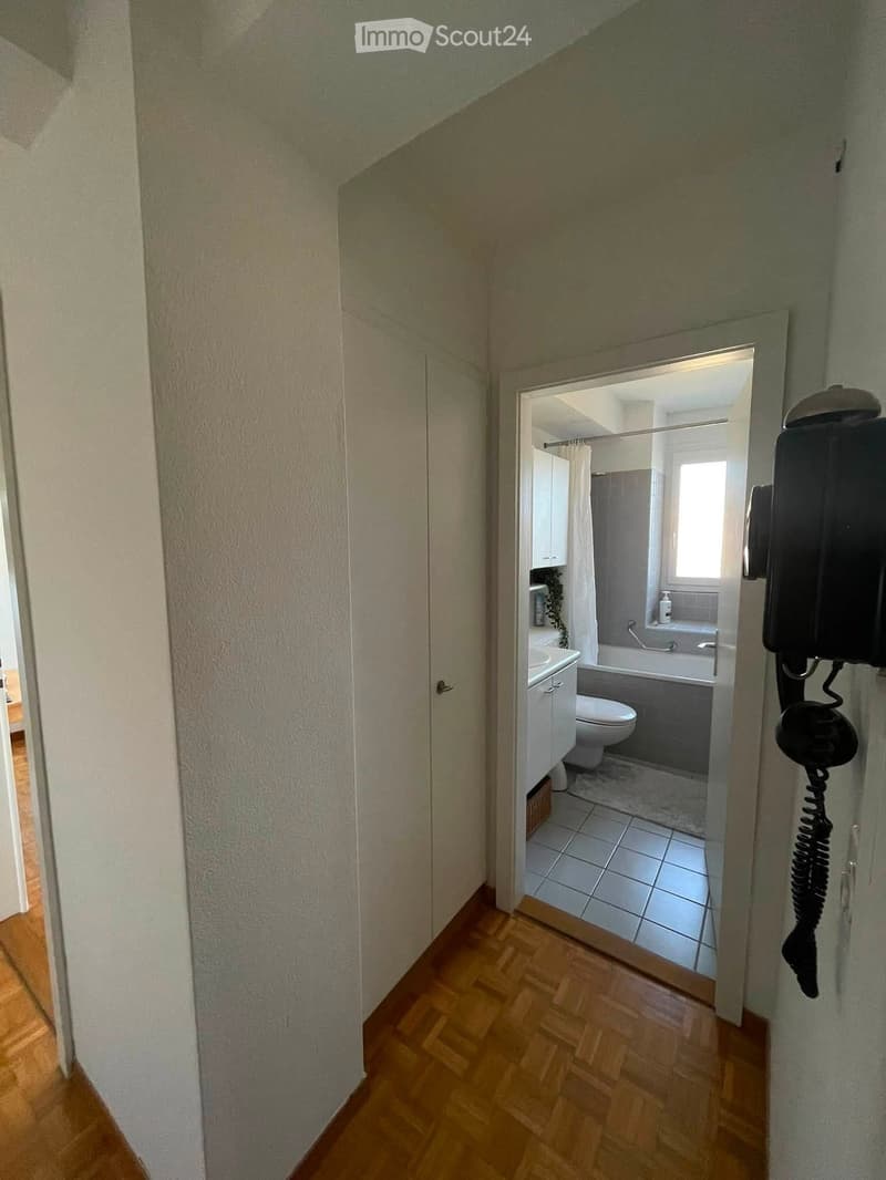 A narrow hallway with wooden flooring leads to a bathroom. The bathroom features a toilet, sink, bathtub, and tiled walls.