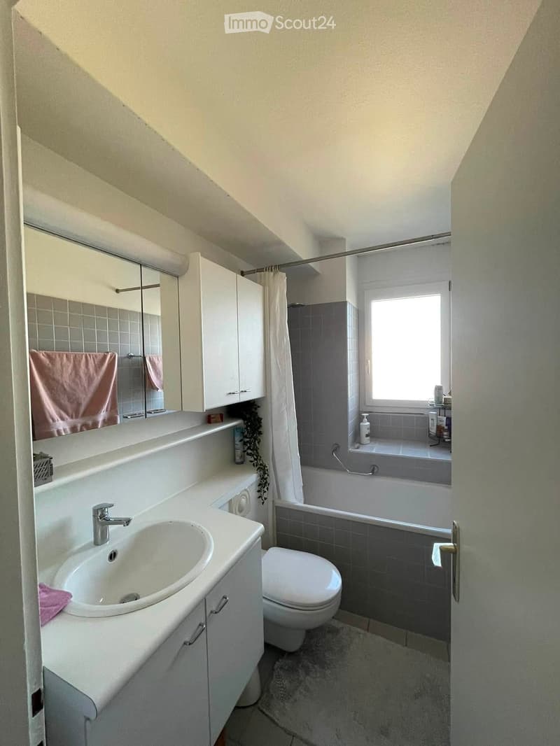 Modern bathroom with a sink, mirror, cabinet, toilet, bathtub, and window. Features a pink towel on the sink and a small plant on the windowsill.