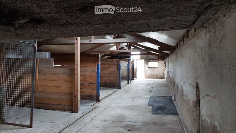 A long, narrow corridor with wooden stable doors on one side and a metal gate on the other, exposed wooden beams and a concrete ceiling.