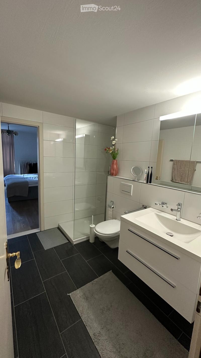 Modern bathroom with dark tiled floor, white sink, mirror, toilet, and glass-enclosed shower. A vase with flowers sits on the sink counter.