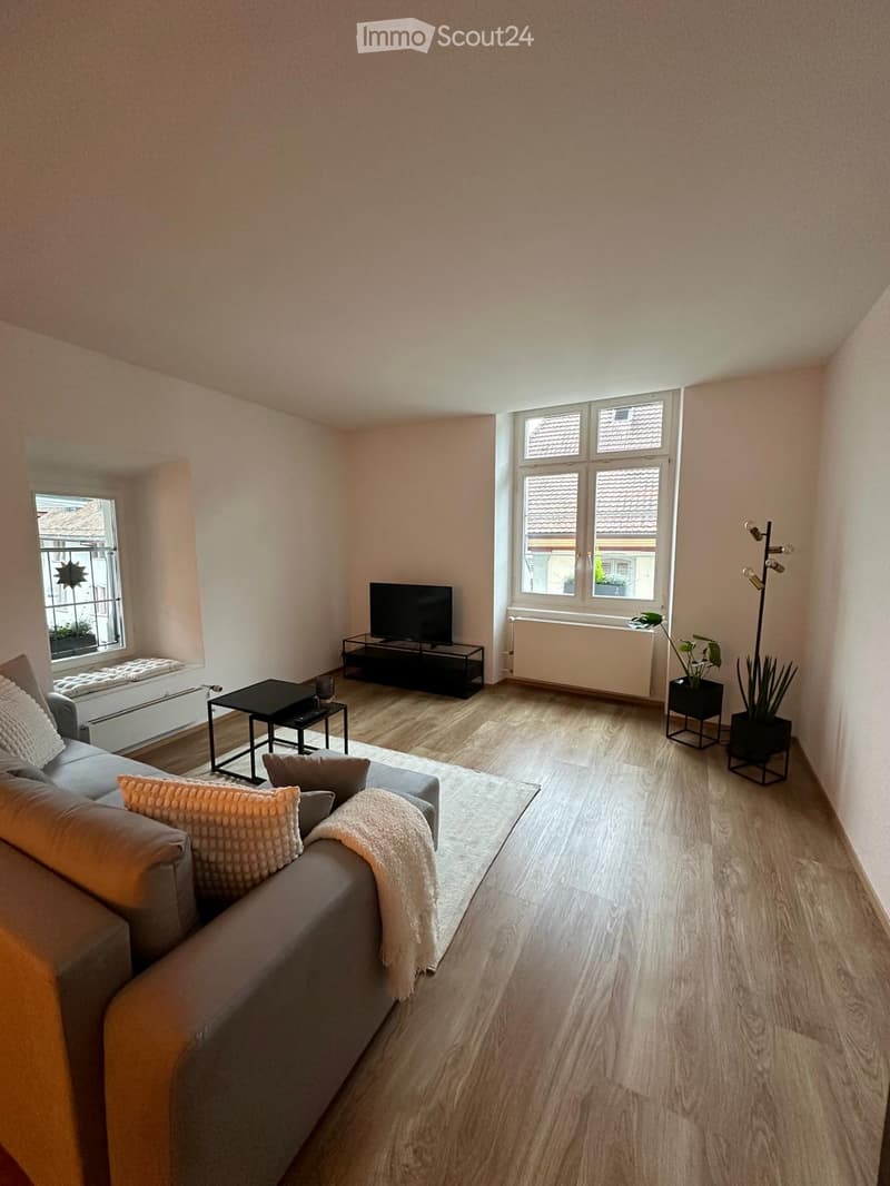 Modern living room with light wooden flooring, a grey sectional sofa with throw pillows, a coffee table, a television on a stand, and a small plant in a pot. The room has large windows with a view of rooftops and is well-lit with natural light.