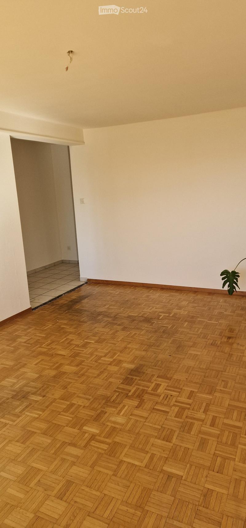 Empty room with wooden herringbone flooring, white walls, and a small plant in the corner.