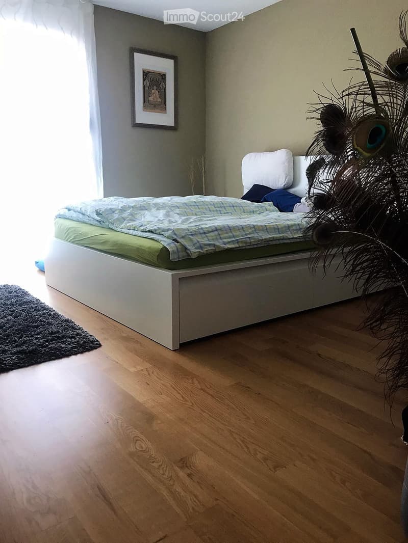 A modern bedroom with a white bed, green and blue bedding, a dark rug, a potted plant, and a framed picture on the wall.