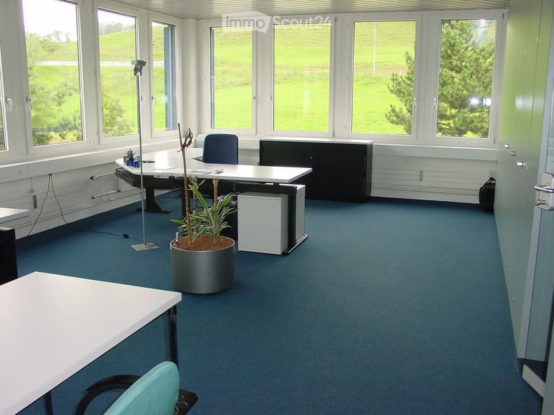 Office space with blue carpet, white desks, chairs, a potted plant, and large windows overlooking a green landscape.